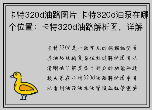 卡特320d油路图片 卡特320d油泵在哪个位置：卡特320d油路解析图，详解其结构及工作原理